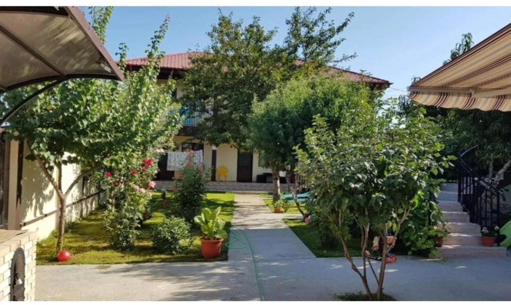 Hotel La Babusca Două Mai Exteriér fotografie