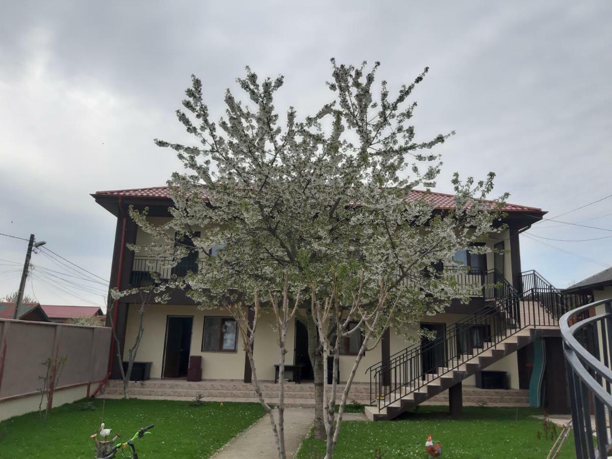 Hotel La Babusca Două Mai Exteriér fotografie
